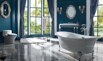 衛(wèi)浴潔具著名品牌及其效果圖片