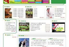 沈陽網站建設與設計 打造專業在線形象，驅動企業數字增長