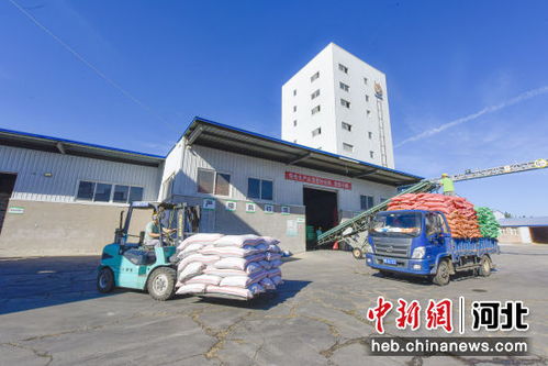 河北廣陽 以優(yōu)質(zhì)飼料品牌建設(shè)為引擎，驅(qū)動畜牧漁業(yè)高質(zhì)量發(fā)展