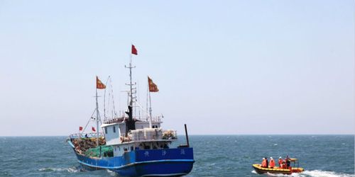 開捕喜訊 江蘇海洋漁業(yè)資源好轉(zhuǎn) 啟東漁民捕獲大黃魚售價(jià)1.8萬 畜牧漁業(yè)飼料銷售迎新契機(jī)